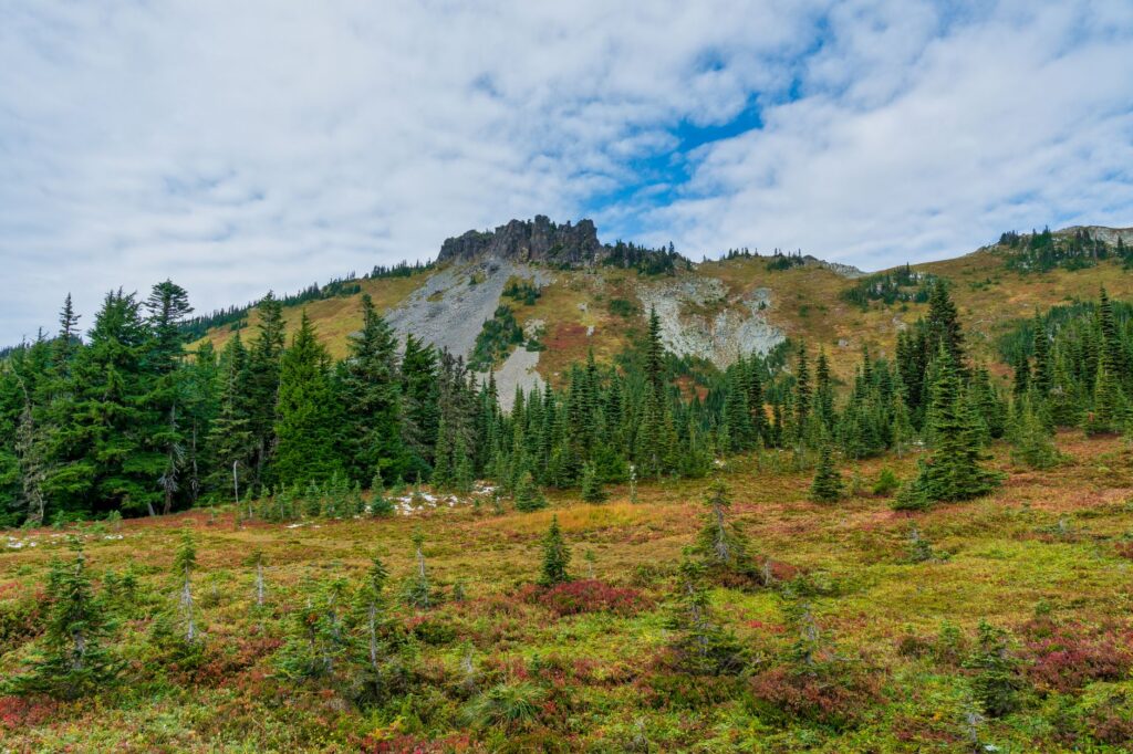 12 Best Hikes in the Pacific Northwest (WA & OR) (2026)
