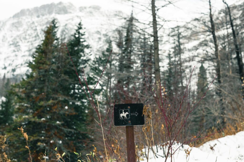 Best Dog-Friendly Hikes Near National Parks (2026)