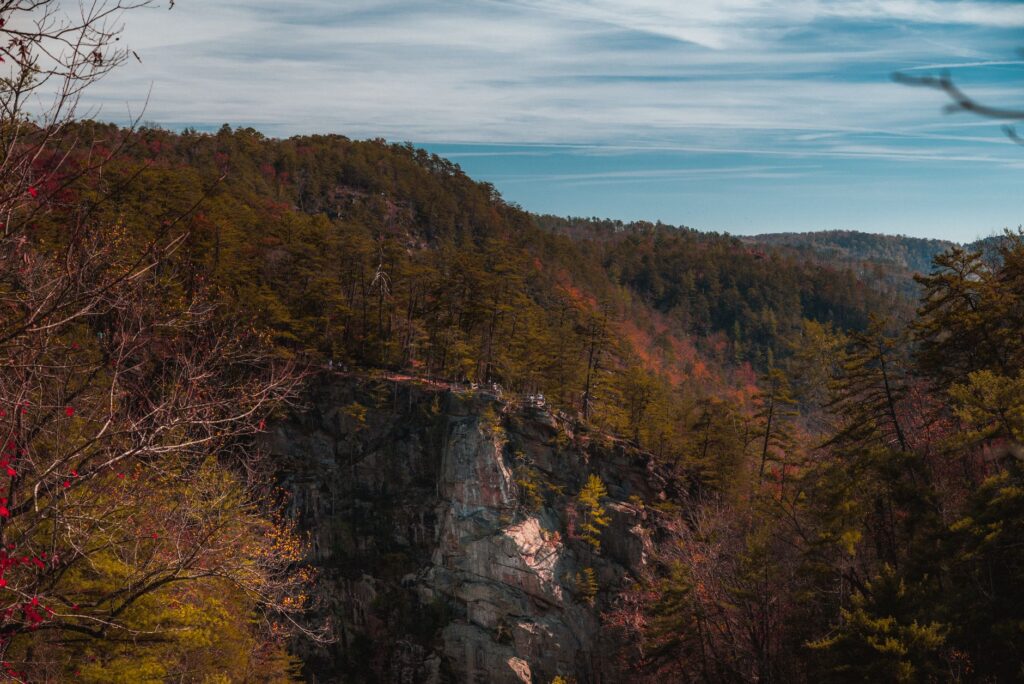 12 Best Beginner Hikes in the USA (Easy & Scenic)