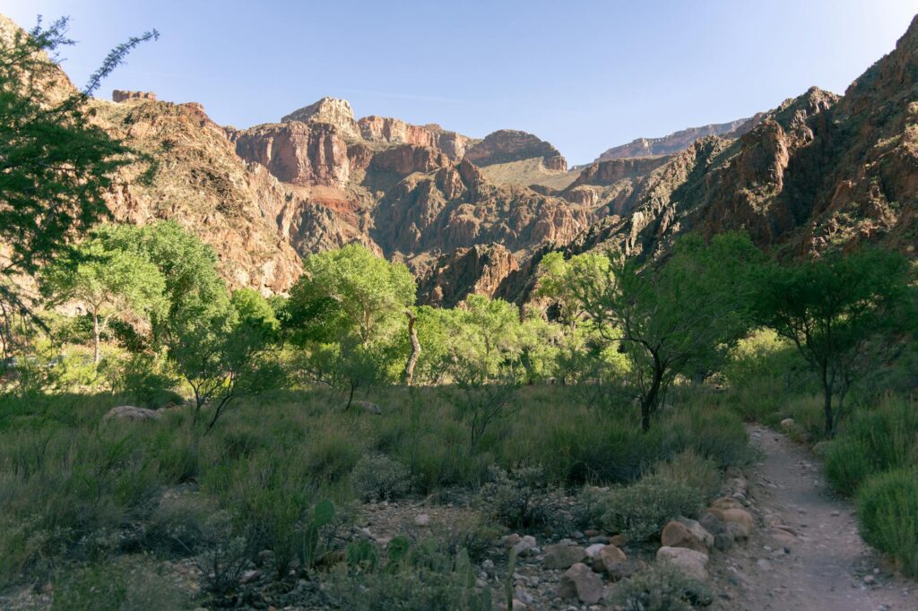 8 Best Day Hikes in the Grand Canyon (South Rim) 2026