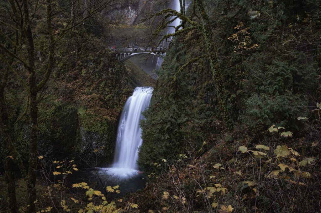 10 Best Hikes Near Portland, Oregon (2026)