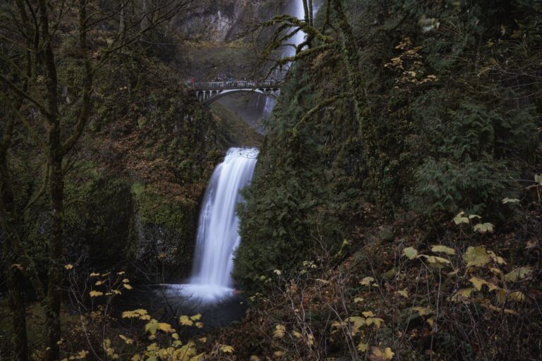 10 Best Hikes Near Portland, Oregon (2026)