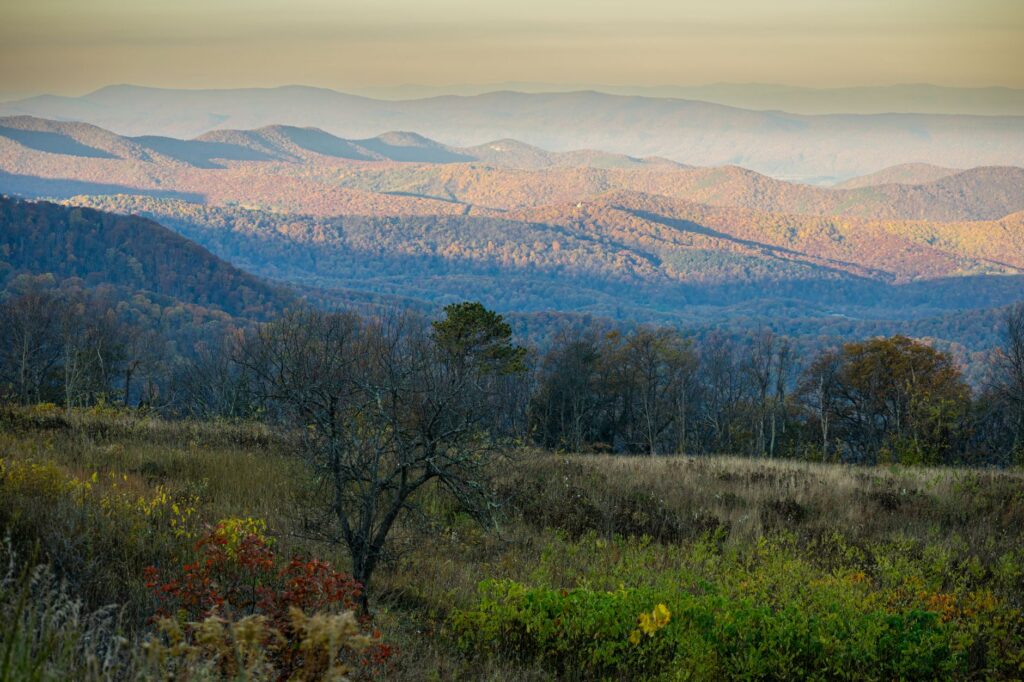 Shenandoah National Park Guide (2026): Skyline & Hikes