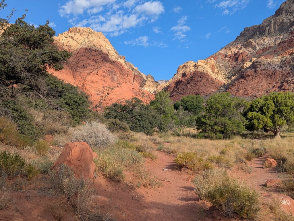 Best Hikes Near Las Vegas (2026 Guide)