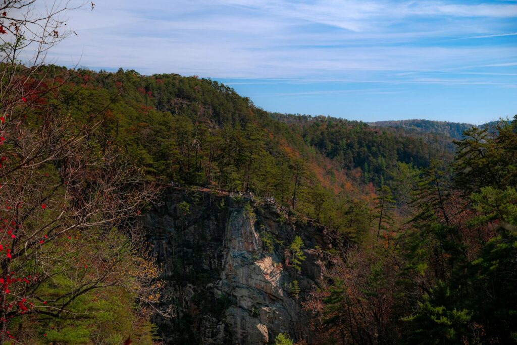 Best National Parks for Fall Foliage (2026)