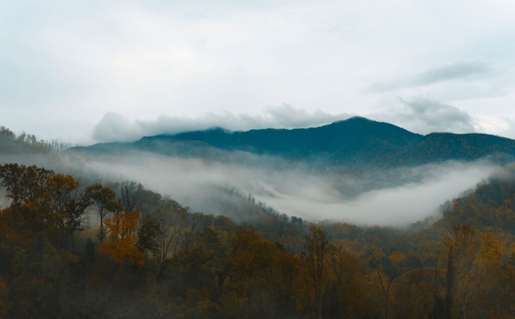 Easy Family Hikes in the Great Smoky Mountains (2026)