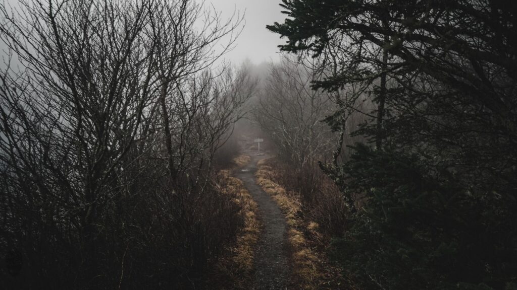 Great Smoky Mountains Guide for First-Time Visitors (2026)
