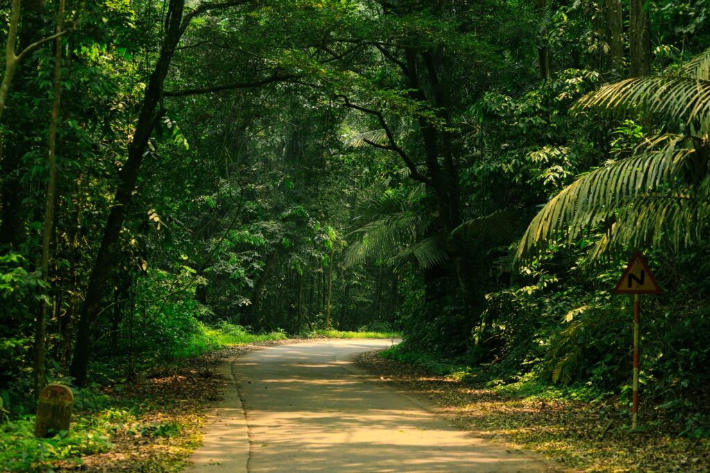 How to Start a Nature & Travel Blog in 2026 (Complete Guide)