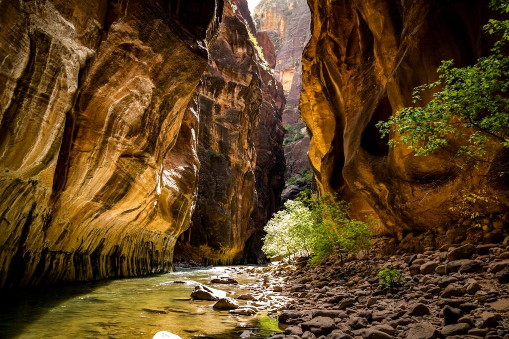 Complete Gear Guide for Hiking The Narrows in Zion (2026)