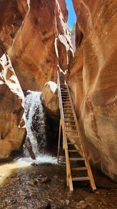 The famous Kanarra Falls ladder climb. Source: Southwest Adventure Tours